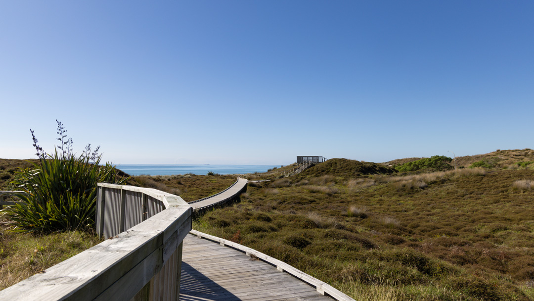 boardwalk through dunes to the beach